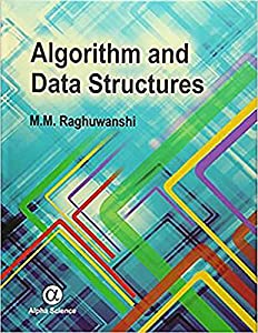 Algorithm and Data Structures(中古品)