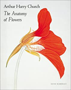 Arthur Henry Church: The Anatomy of Flowers(中古品)