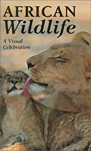 African Wildlife: A Visual Celebration (Visual Celebrations)(中古品)