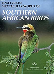 Spectacular World of Southern African Birds(中古品)の通販は 8,300円