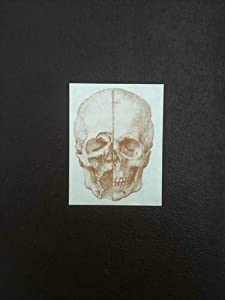 The Neuroanatomy of Leonardo Da Vinci(中古品)の通販は