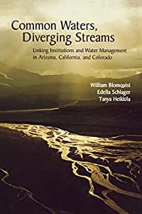 Common Waters  Diverging Streams(中古品)