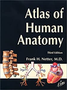 Atlas of Human Anatomy  Student Edition (Netter Basic Science)(中古品)