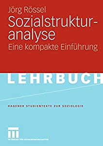 Sozialstrukturanalyse: Eine kompakte Einfuehrung (Studientexte zur Soziologie) (German Edition)(中古品)