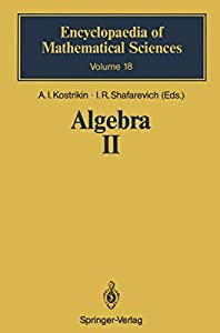 Algebra II: Noncommutative Rings Identities (Encyclopaedia of Mathematical Sciences)(中古品)