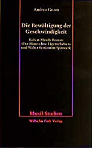 Die Bewaeltigung der Geschwindigkeit(中古品)
