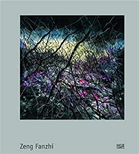 Zeng Fanzhi: Every Mark Its Mask(中古品)