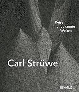 Carl Struwe: Reisen in Unbekannte Welten(中古品)