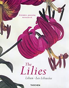 The Lilies: Lilien - Les Liliacees (Jumbo S.)(中古品)