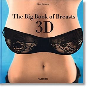 The Big Book of Breasts 3D(中古品)