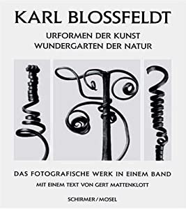 URFORMEN DER KUNST WUNDERGARTEN DER NATUR (Art Forms in Nature)(中古品)