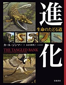進化——生命のたどる道(中古品)