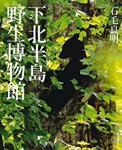 下北半島 野生博物館(中古品)