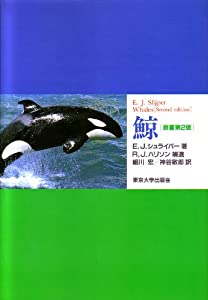 鯨(中古品) 和装小物 緒締め アンティーク 天然素材 細密彫刻 鯨の歯