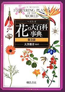 書籍]/Interface (インターフェース) DVD-ROM版 2024 約2100頁の