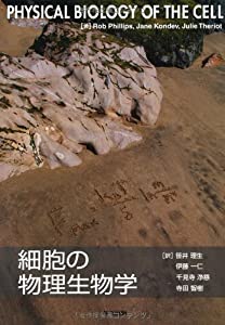 細胞の物理生物学(中古品)
