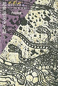 近世説美少年録 (下) (叢書江戸文庫22)(中古品)