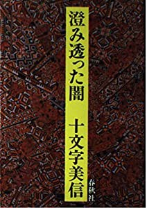 澄み透った闇(中古品)