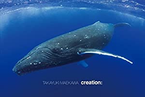 creation:(中古品)