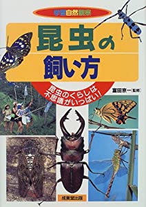 昆虫の飼い方—昆虫のくらしは不思議がいっぱい! (学習自然観察)(中古品)