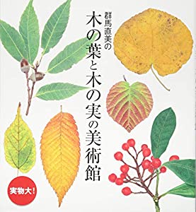 群馬直美の木の葉と木の実の美術館(中古品)