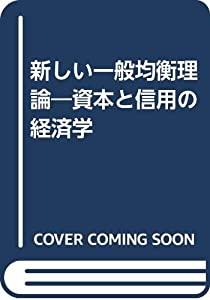 新しい一般均衡理論—資本と信用の経済学(中古品)