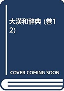 大漢和辞典 巻12(中古品)