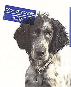 ブルースマンの恋(中古品)の通販は 7,514円