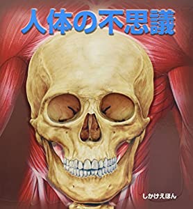 人体の不思議 (しかけえほん)(中古品)