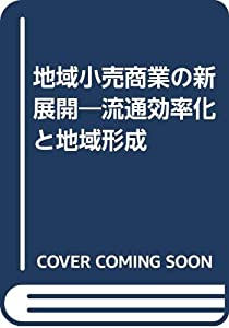 地域小売商業の新展開—流通効率化と地域形成(中古品)