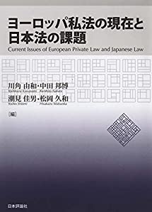 ヨーロッパ私法の現在と日本法の課題 (龍谷大学社会科学研究所叢書)(中古品)
