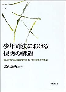 少年司法における保護の構造:適正手続・成長発達権保障と少年