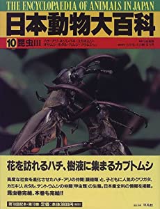 昆虫〈3〉 (日本動物大百科)(中古品)