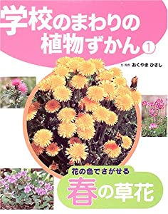 学校のまわりの植物ずかん〈1〉花の色でさがせる春の草花(中古品)