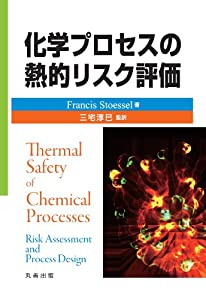 化学プロセスの熱的リスク評価(中古品)