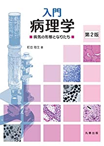 入門 病理学 第2版(中古品)