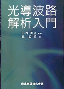 光導波路解析入門(中古品)