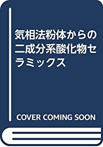 気相法粉体からの二成分系酸化物セラミックス(中古品)の通販は