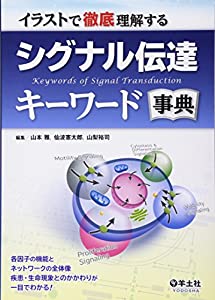 イラストで徹底理解する シグナル伝達キーワード事典(中古品)の通販は
