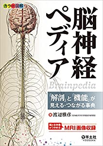 カラー図解 脳神経ペディア?「解剖」と「機能」が見える・つながる事典(中古品)