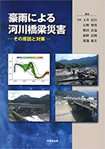 豪雨による河川橋梁災害 —その原因と対策—(中古品)