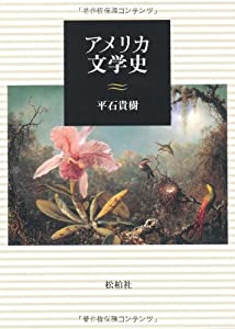 【中古】 象徴主義とアメリカ文学/ダブドリ/チャールズ・ファイデルスン，Ｊｒ． アメリカ文学史(中古品) 中古】 象徴主義とアメリカ文学