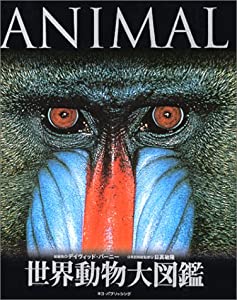 世界動物大図鑑—ANIMAL DKブックシリーズ(中古品)