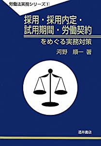 採用・採用内定・試用期間・労働契約をめぐる実務対策 (労働法実務シリーズ)(中古品)