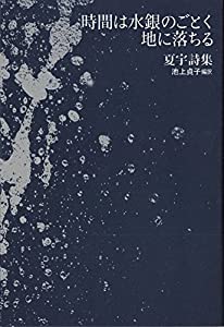 時間は水銀のごとく地に落ちる—夏宇詩集(中古品)