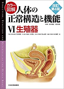 カラー図解 人体の正常構造と機能〈6〉生殖器【改訂第4版】(中古品)