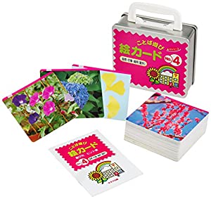 ことば遊び絵カード no.4 自然・行事・場所(屋外)(中古品)