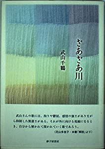 歌集 ざあざあ川 (塔21世紀叢書)(中古品)