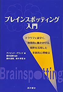 ブレインスポッティング入門(中古品)の通販は 5,014円