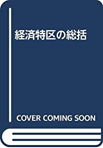 経済特区の総括(中古品)